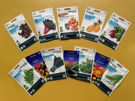 Kitchengarden Girl Top 12 Organic Seeds Favorites